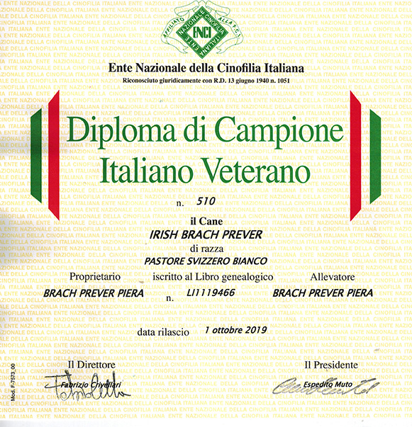 Diploma di veterano Irish
