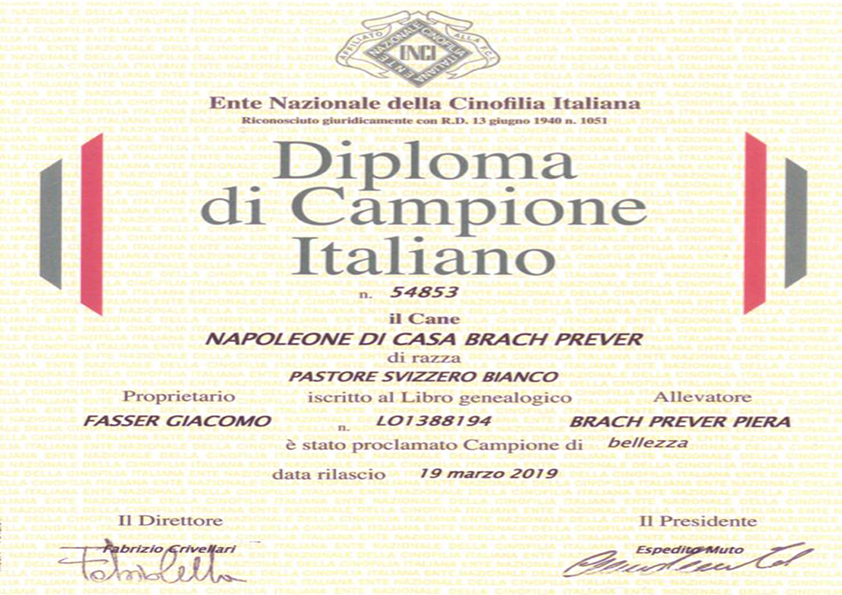 Diploma di campione italiano Napoleone