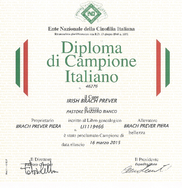 Diploma di campione italiano Irish